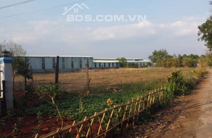 Bán 3 lô (5x35x=525m2) 390 triệu/s ,sổ riêng, MT Ql13 vào 15m, đã lên hết thổ cư, tx BÌNH LONG